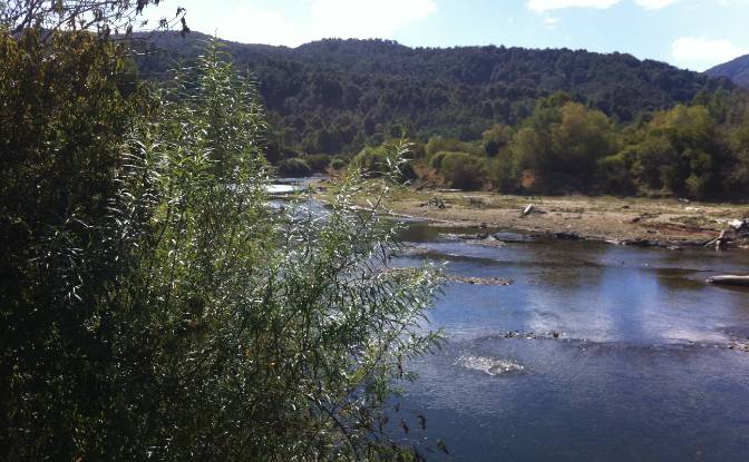 Investing/Development for Sale Fresia. Photo#9 Investing/Development for Sale Fresia. Photo#9
