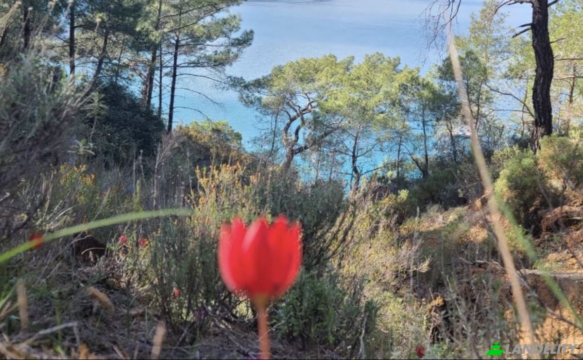 Villa en venta Beycik, Isimsiz Yol, 07980 Kemer Antalya, Kemer Antalya, Kemer, Antalya, Turkiye. Foto 6