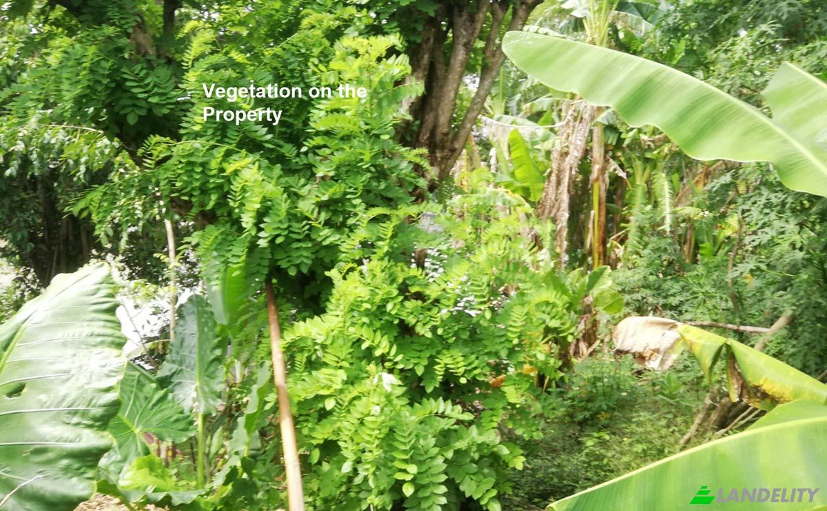 Land Lot for Sale Sudimara, Tabanan Regency, Bali, Indonesia, Tabanan. Photo 10
