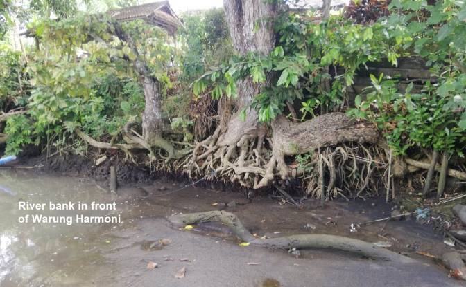 Land Lot for Sale Sudimara, Tabanan Regency, Bali. Photo#15 Land Lot for Sale Sudimara, Tabanan Regency, Bali. Photo#15