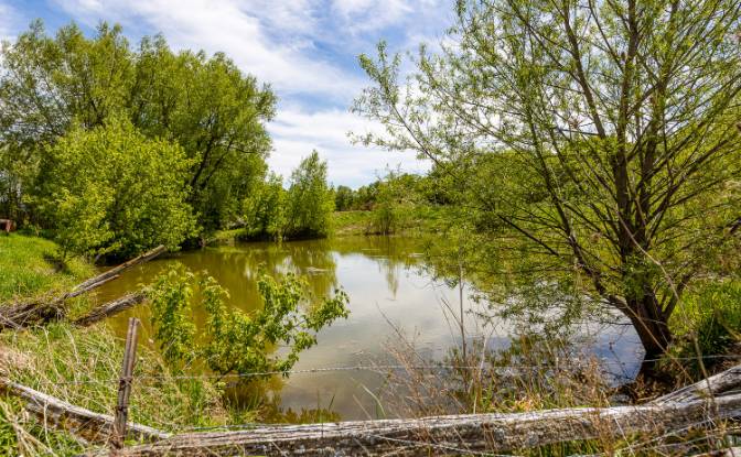 Farm/Ranch for Sale 3134-3012 Concession Rd 8. Photo#19 Farm/Ranch for Sale 3134-3012 Concession Rd 8. Photo#19