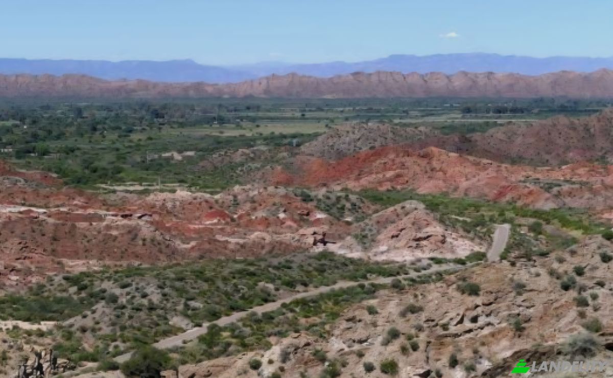 Investing/Development for Sale Coronel Felipe Varela Department, La Rioja Province, Argentina. Photo 2