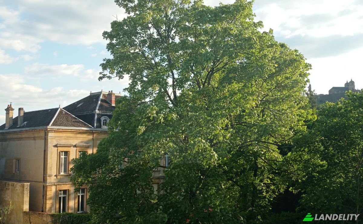 Mansion for Sale 11 Rue General de Gaulle, 55600 Montmedy, Montmedy, Meuse, Grand Est, France. Photo 1
