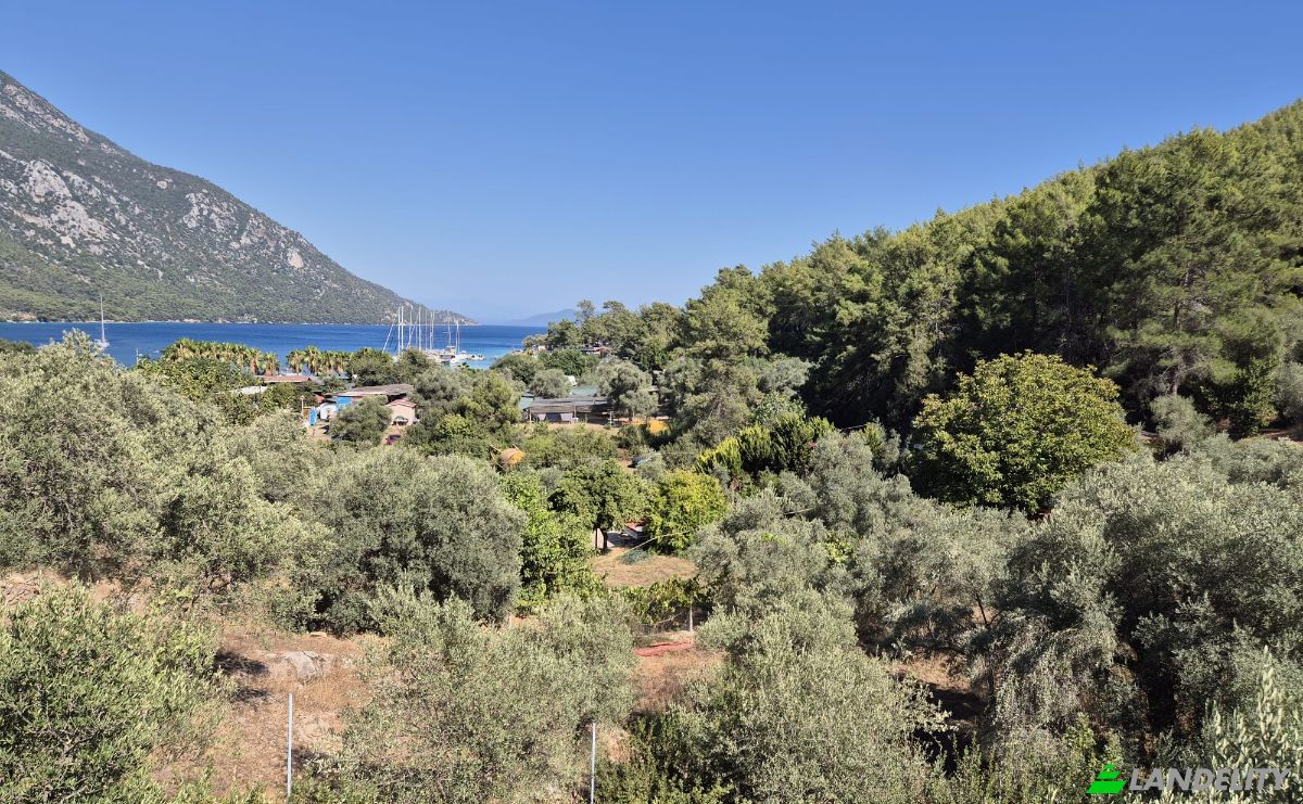 Inversión/Desarrollo en venta Sarnic, Mentese, Mugla, Turkiye, Isimsiz Yol, 48220 Mentese Mugla. Foto 5