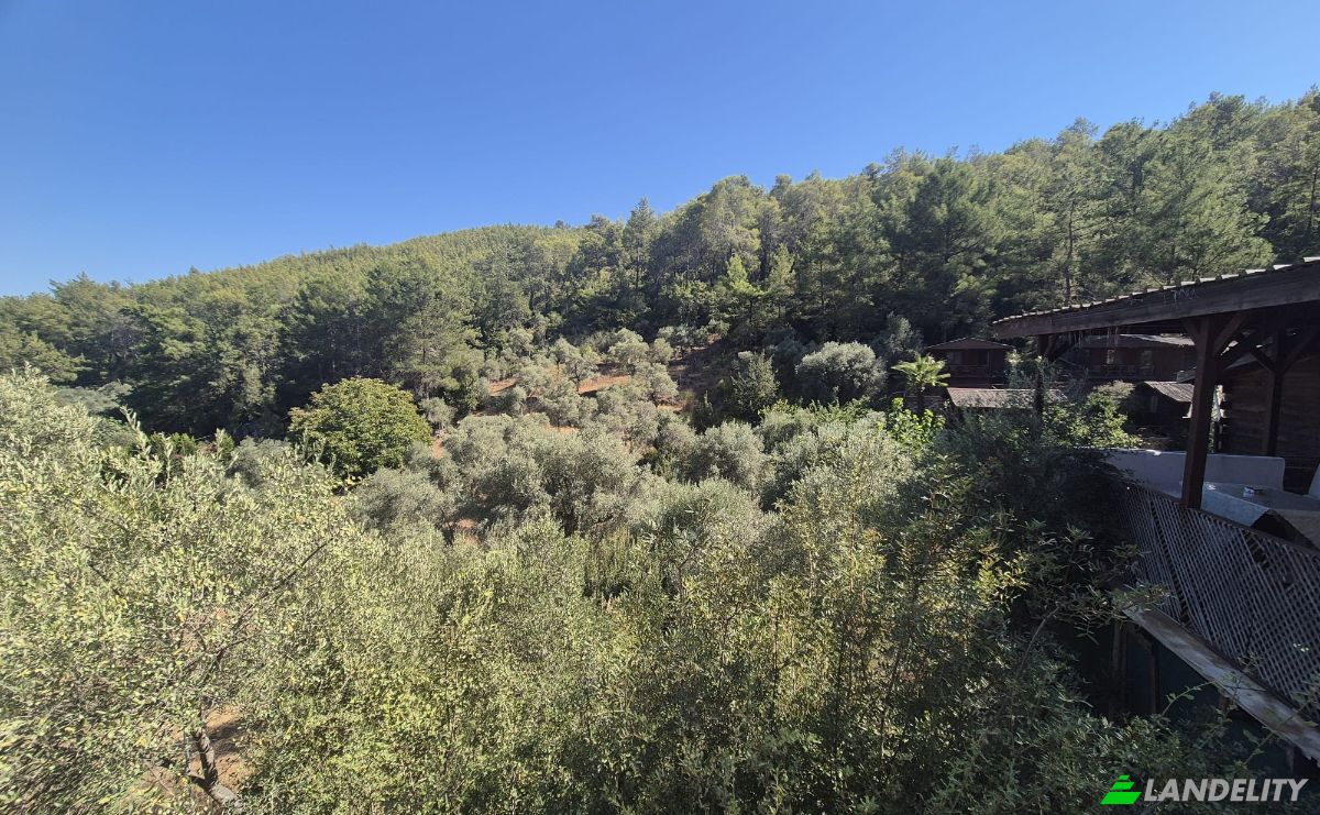 Inversión/Desarrollo en venta Sarnic, Mentese, Mugla, Turkiye, Isimsiz Yol, 48220 Mentese Mugla. Foto 7