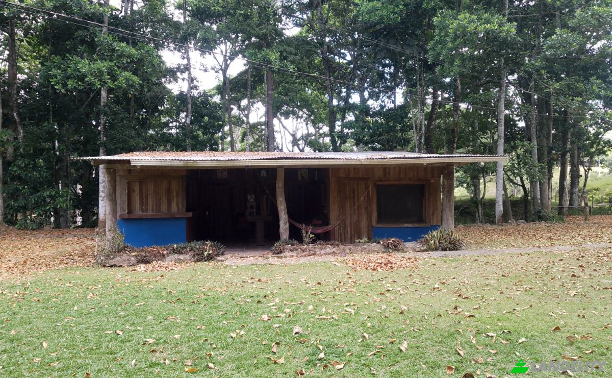 Toevlucht Te koop Via Sin Nombre, Provincia de Alajuela, Upala, Alajuela Province, Costa Rica. Foto 2
