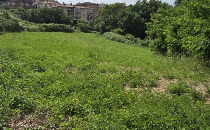 Apartment for Sale Via Iris Origo. Photo#5 Apartment for Sale Via Iris Origo. Photo#5