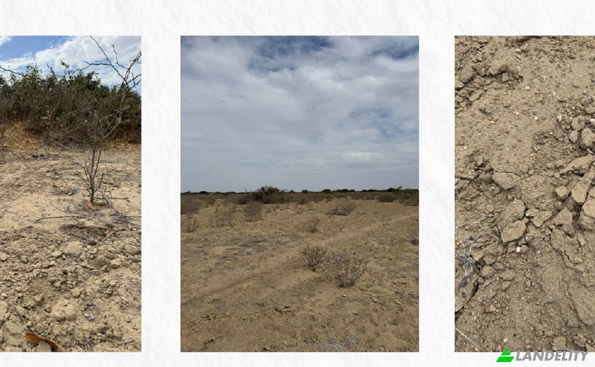 Investing/Development for Sale 20690, Sechura Province, Piura, Peru. Photo 4