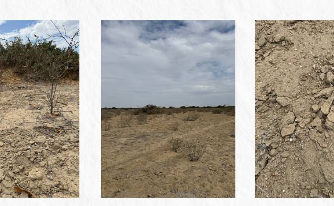 Investing/Development for Sale 20690. Photo#4 Investing/Development for Sale 20690. Photo#4