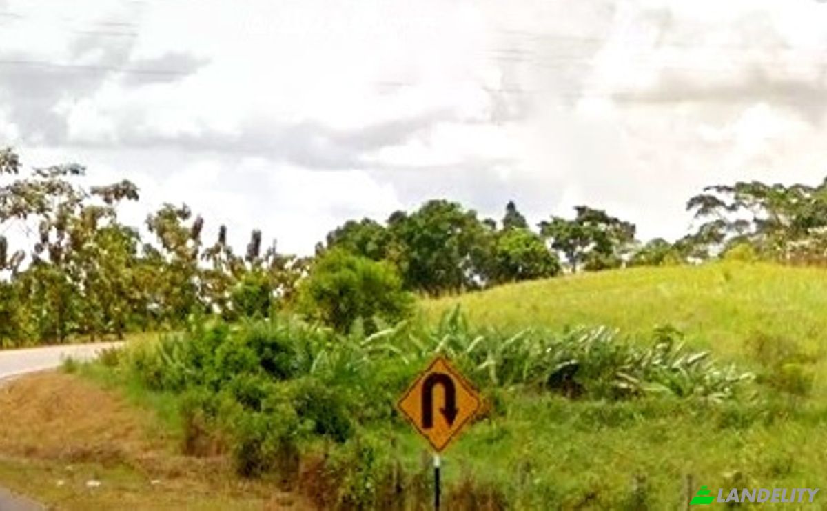 Land Lot for Sale 5NB, 16500, Yurimaguas, Alto Amazonas Province, Loreto, Peru. Photo 1
