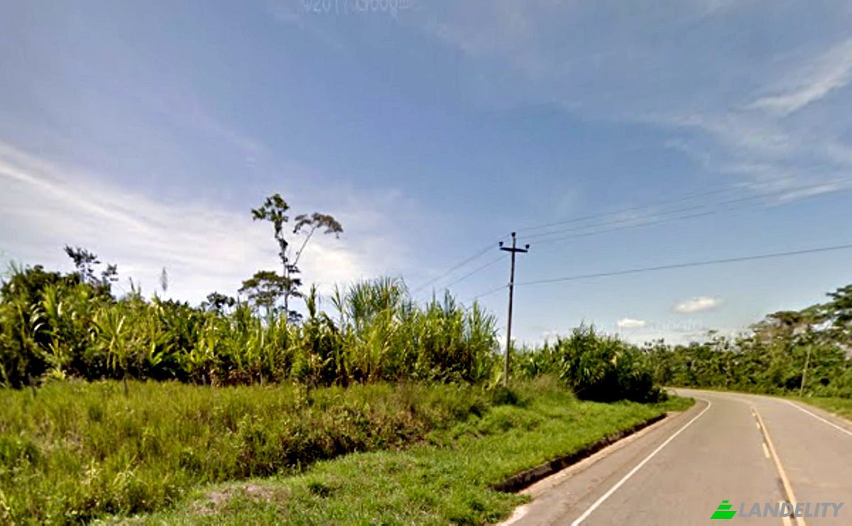 Land Lot for Sale 5NB, 16500, Yurimaguas, Alto Amazonas Province, Loreto, Peru. Photo 4