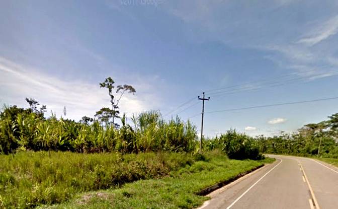 Land Lot for Sale 5NB, 16500, Yurimaguas. Photo#4 Land Lot for Sale 5NB, 16500, Yurimaguas. Photo#4