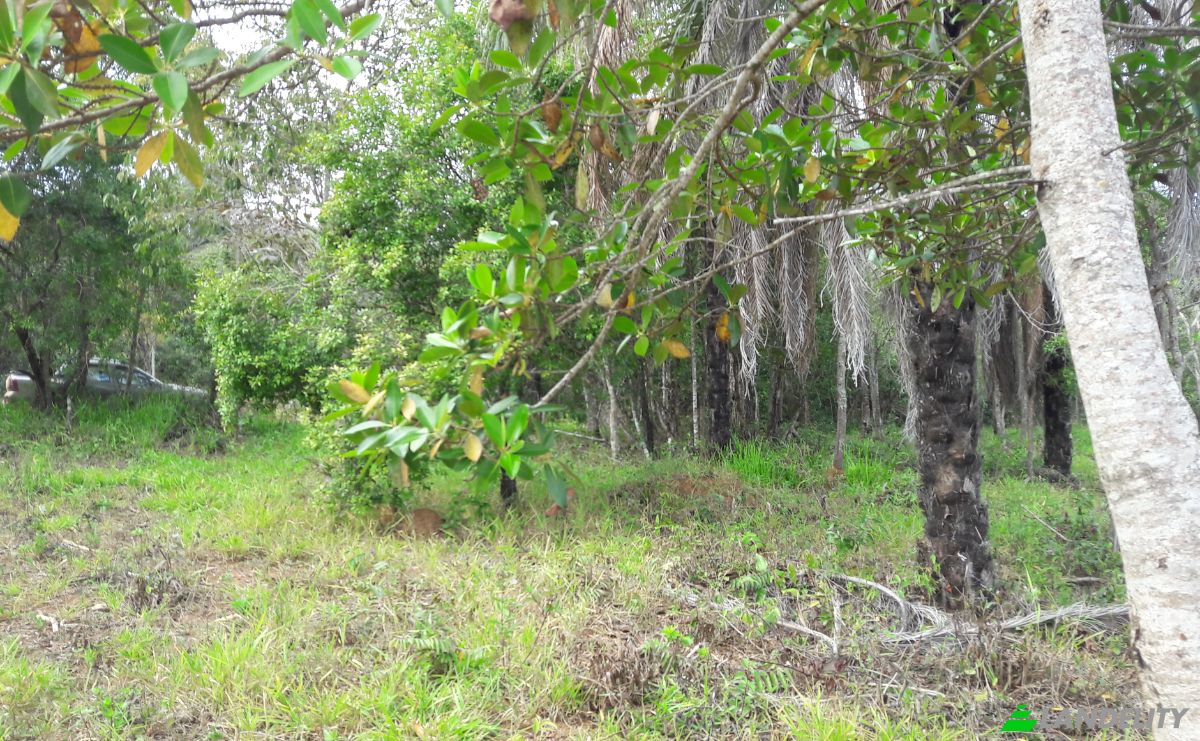 Investing/Development for Sale Albertos, Formiga, State of Minas Gerais, Brazil, 35570-000. Photo 2