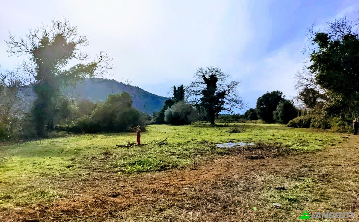 Land Lot for Sale Odos Hvris Onomasia, Perdika 460 30, Perdika, Epirus, Decentralized Administration of Epirus and Western Macedonia, Greece. Photo 1