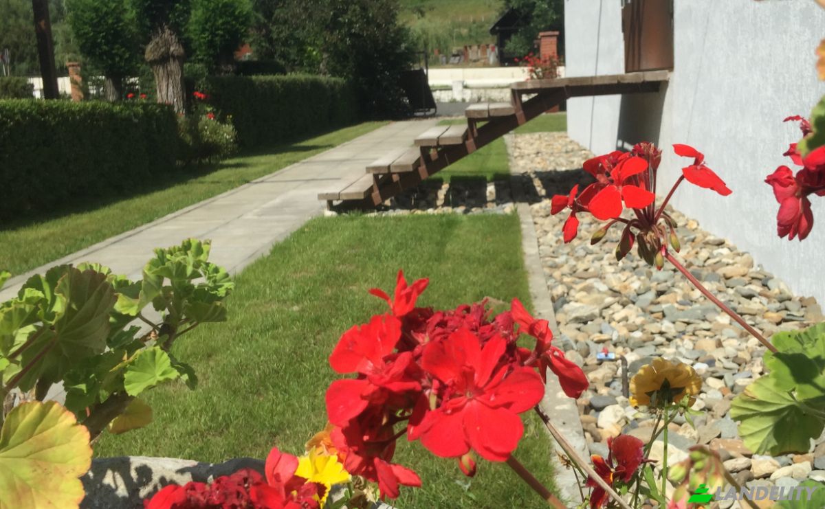 Farm/Ranch for Sale DN1 10, Cluj-Napoca 400129, Feleacu, Cluj County, Romania. Photo 6