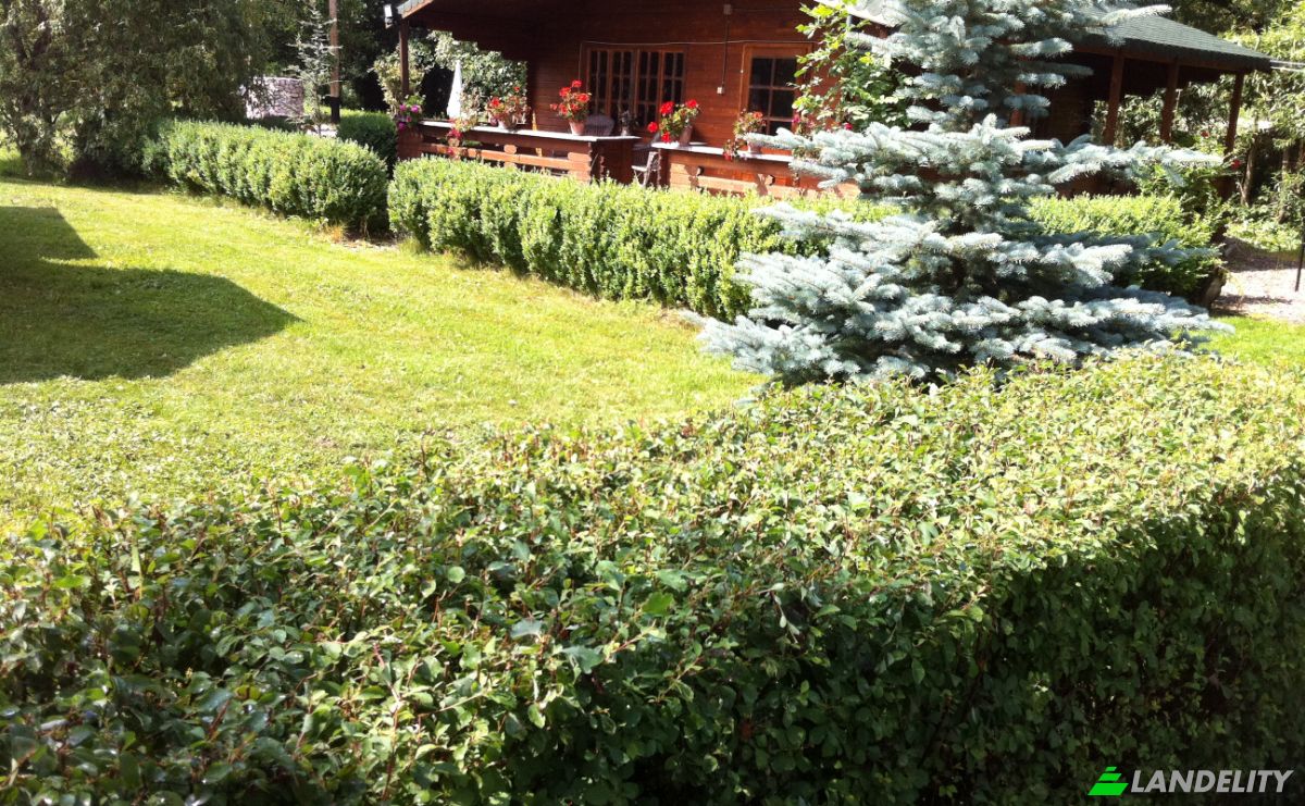 Farm/Ranch for Sale DN1 10, Cluj-Napoca 400129, Feleacu, Cluj County, Romania. Photo 9