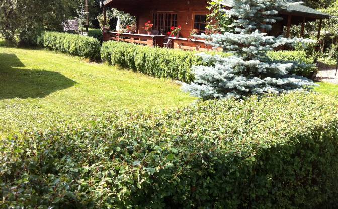 Farm/Ranch for Sale DN1 10, Cluj-Napoca 400129. Photo#9 Farm/Ranch for Sale DN1 10, Cluj-Napoca 400129. Photo#9