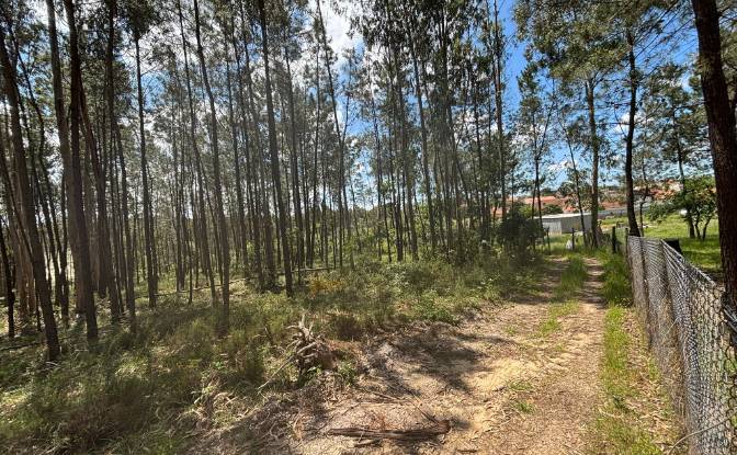 Farm/Ranch for Sale R do Pardeeiro 8, 2440 Batalha. Photo#8 Farm/Ranch for Sale R do Pardeeiro 8, 2440 Batalha. Photo#8