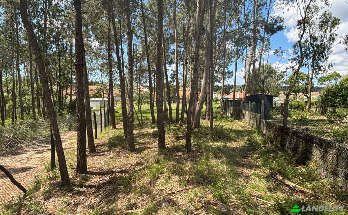 Farm/Ranch for Sale R do Pardeeiro 8, 2440 Batalha, Batalha, Leiria District, Portugal. Photo 9