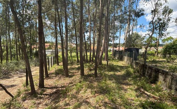 Farm/Ranch for Sale R do Pardeeiro 8, 2440 Batalha. Photo#9 Farm/Ranch for Sale R do Pardeeiro 8, 2440 Batalha. Photo#9