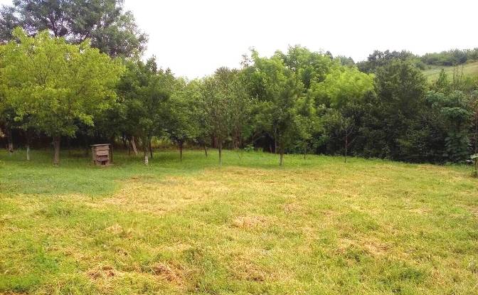 Single Family Home for Sale 795 11, 8324 Draka. Photo#3