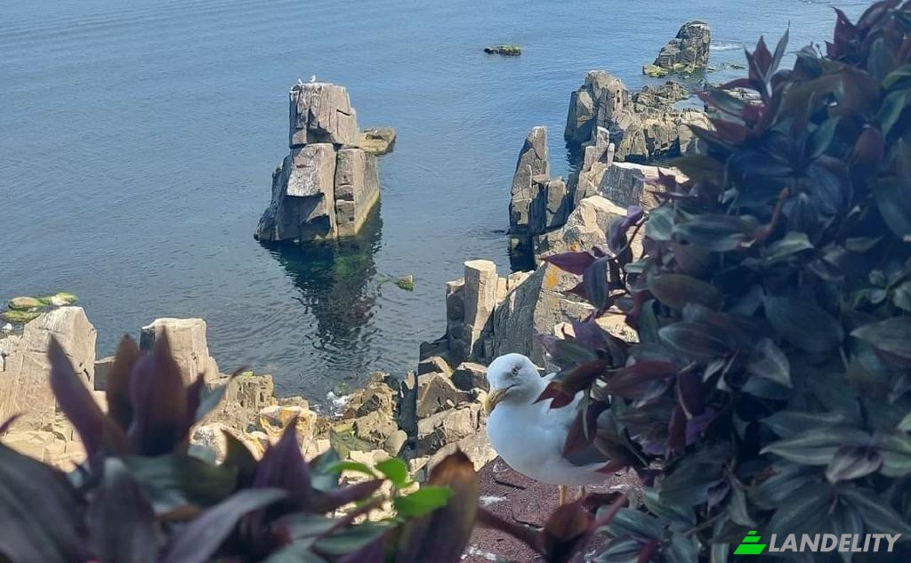 Land Lot for Sale Tsentar, Sozopol, Burgas, Bulgaria. Photo 5