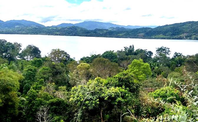 Investing/Development for Sale s n Frente a la. Photo#3 Investing/Development for Sale s n Frente a la. Photo#3