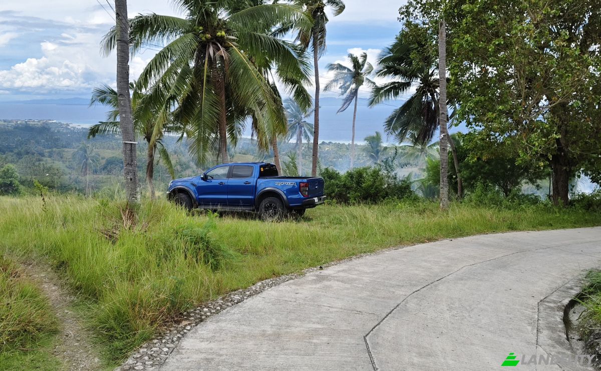 Land Lot for Sale Argao, Cebu, Central Visayas, Philippines. Photo 1