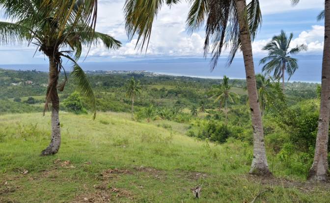 Land Lot for Sale Argao, Cebu, Central Visayas. Photo#2 Land Lot for Sale Argao, Cebu, Central Visayas. Photo#2