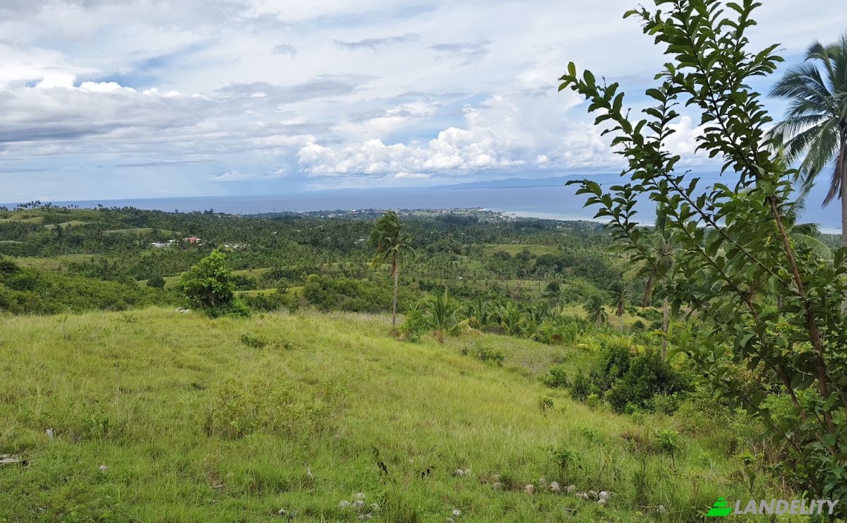 Land Lot for Sale Argao, Cebu, Central Visayas, Philippines. Photo 3