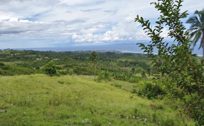 Land Lot for Sale Argao, Cebu, Central Visayas. Photo#3 Land Lot for Sale Argao, Cebu, Central Visayas. Photo#3