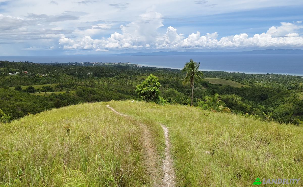 Land Lot for Sale Argao, Cebu, Central Visayas, Philippines. Photo 4