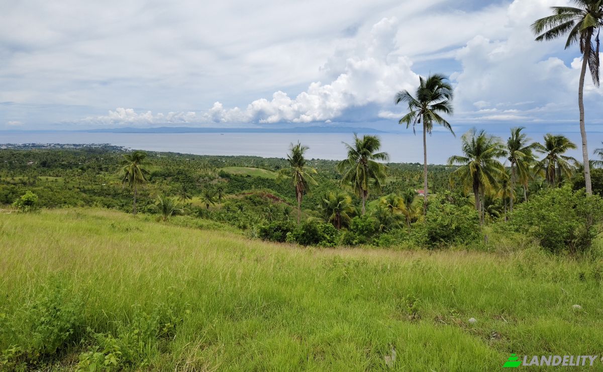 Land Lot for Sale Argao, Cebu, Central Visayas, Philippines. Photo 5