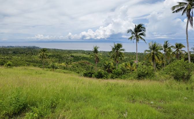 Land Lot for Sale Argao, Cebu, Central Visayas. Photo#5 Land Lot for Sale Argao, Cebu, Central Visayas. Photo#5