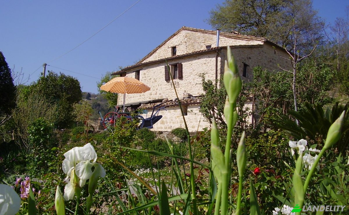 Farm/Ranch for Sale Campi Lunghi, 62011 Cingoli MC, Cingoli, Province of Macerata, Marche, Italy. Photo 11
