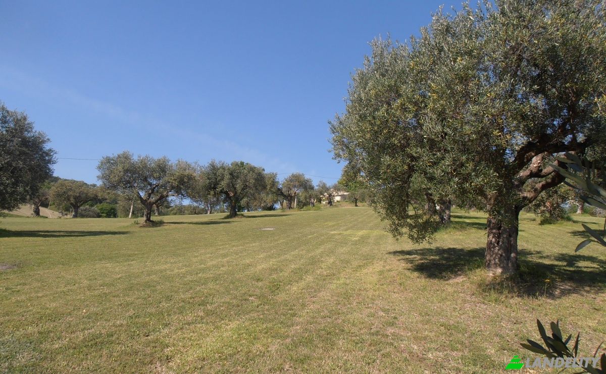 Farm/Ranch for Sale Campi Lunghi, 62011 Cingoli MC, Cingoli, Province of Macerata, Marche, Italy. Photo 15