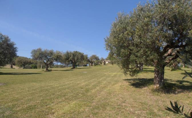 Farm/Ranch for Sale Campi Lunghi, 62011 Cingoli MC. Photo#15