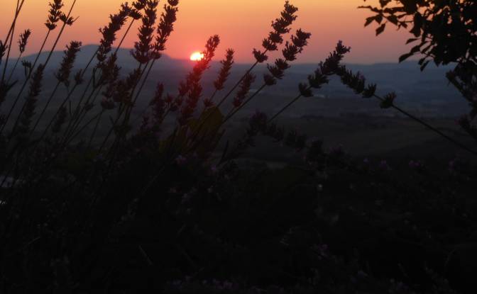 Farm/Ranch for Sale Campi Lunghi, 62011 Cingoli MC. Photo#20