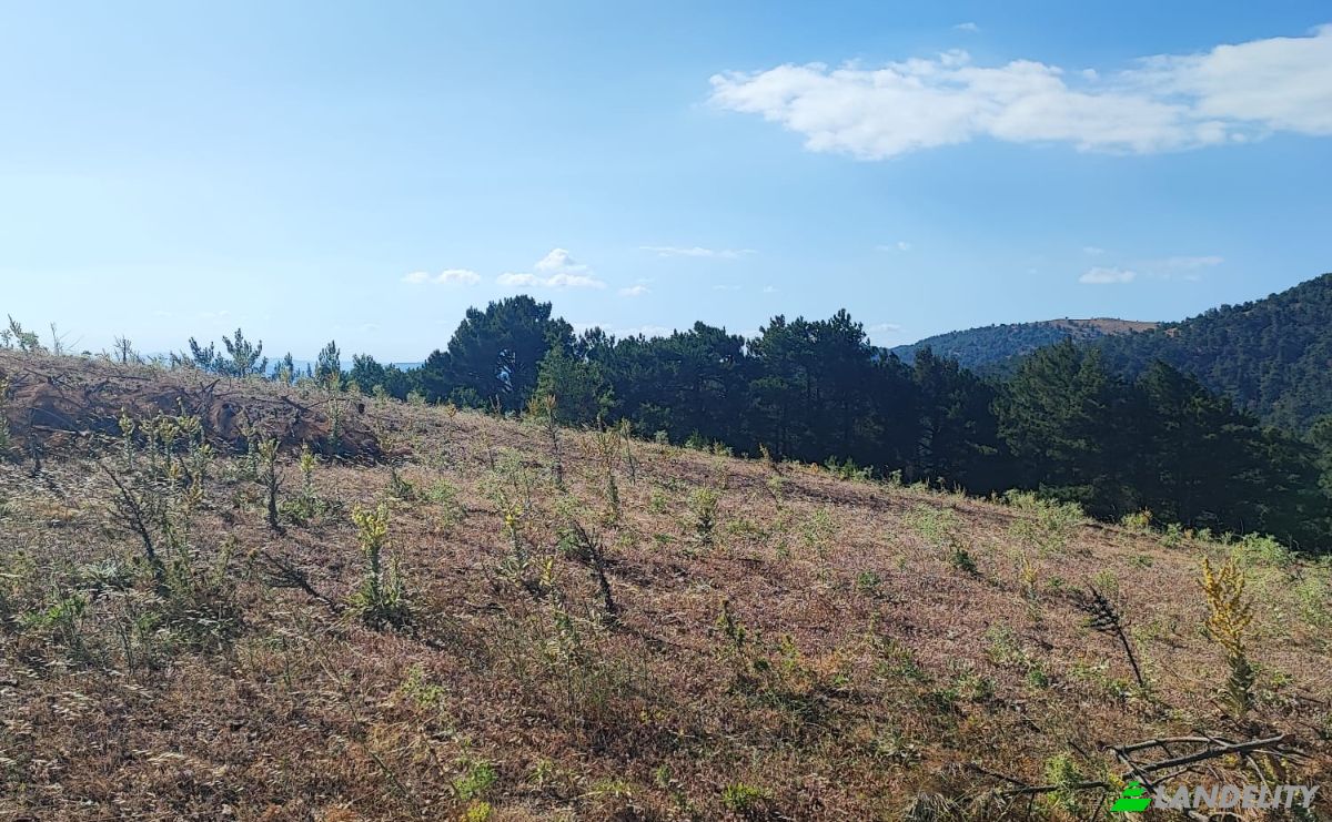 Farm/Ranch for Sale Kocakagan, Akhisar, Manisa, Turkiye, Isimsiz Yol, 45200 Akhisar Manisa. Photo 10