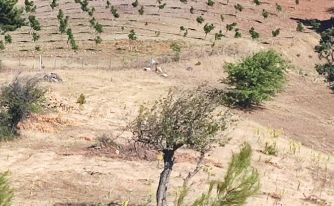 Farm/Ranch for Sale Kocakagan, Akhisar, Manisa. Photo#13 Farm/Ranch for Sale Kocakagan, Akhisar, Manisa. Photo#13