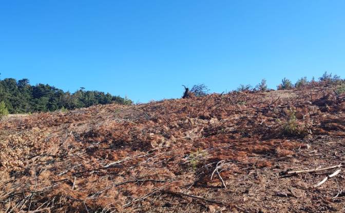 Farm/Ranch for Sale Kocakagan, Akhisar, Manisa. Photo#16 Farm/Ranch for Sale Kocakagan, Akhisar, Manisa. Photo#16