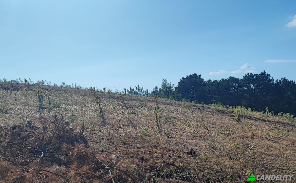 Farm/Ranch for Sale Kocakagan, Akhisar, Manisa, Turkiye, Isimsiz Yol, 45200 Akhisar Manisa. Photo 17