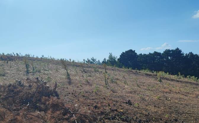 Farm/Ranch for Sale Kocakagan, Akhisar, Manisa. Photo#17 Farm/Ranch for Sale Kocakagan, Akhisar, Manisa. Photo#17