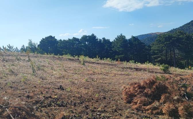 Farm/Ranch for Sale Kocakagan, Akhisar, Manisa. Photo#18 Farm/Ranch for Sale Kocakagan, Akhisar, Manisa. Photo#18
