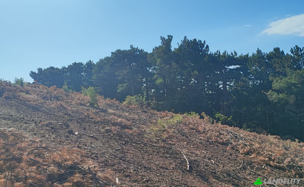 Farm/Ranch for Sale Kocakagan, Akhisar, Manisa, Turkiye, Isimsiz Yol, 45200 Akhisar Manisa. Photo 19