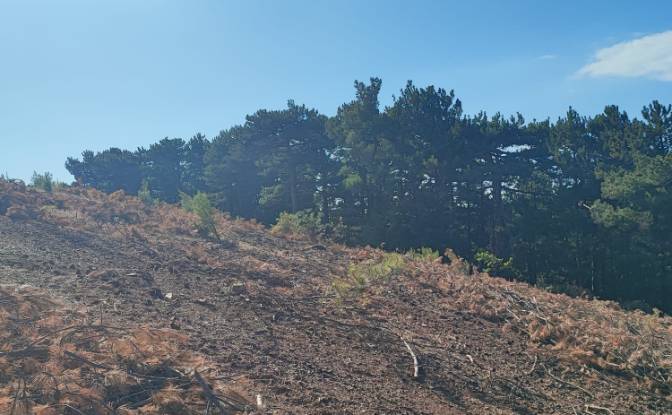 Farm/Ranch for Sale Kocakagan, Akhisar, Manisa. Photo#19 Farm/Ranch for Sale Kocakagan, Akhisar, Manisa. Photo#19