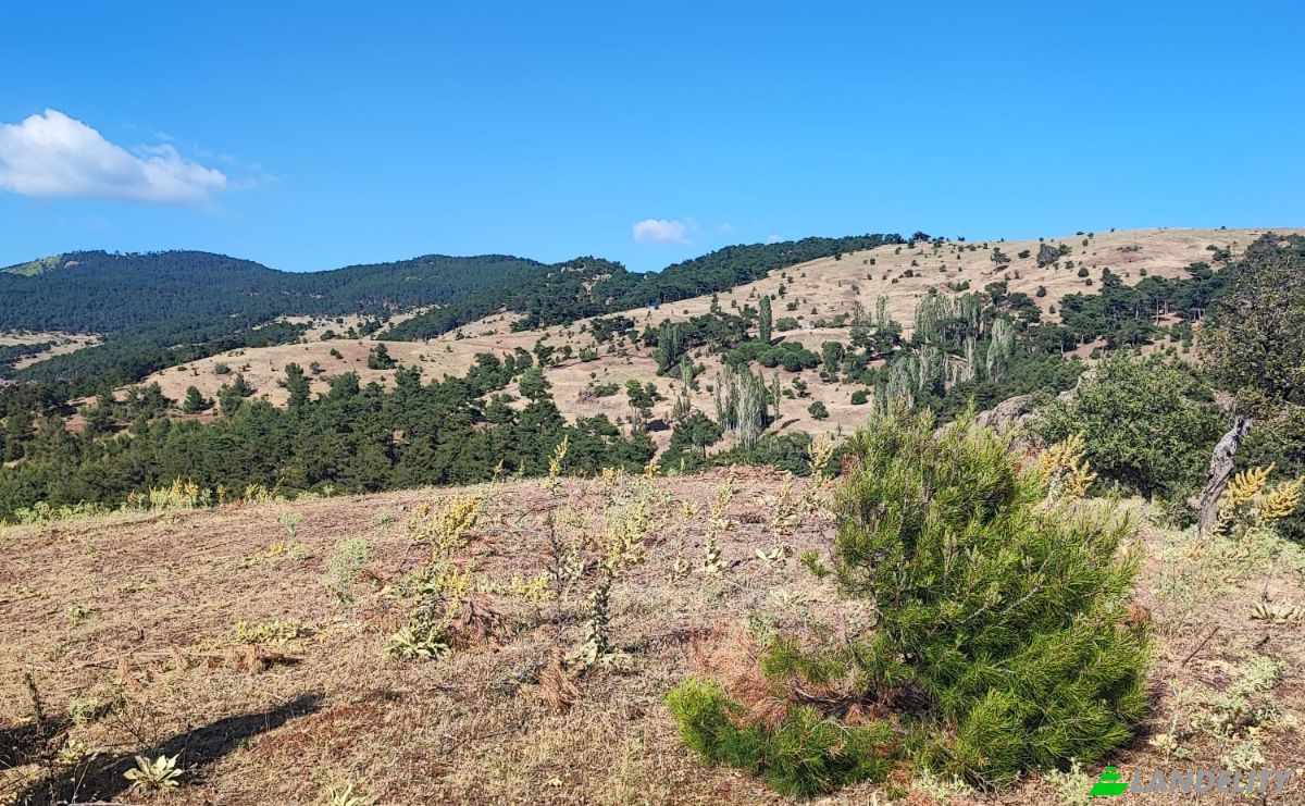 Farm/Ranch for Sale Kocakagan, Akhisar, Manisa, Turkiye, Isimsiz Yol, 45200 Akhisar Manisa. Photo 25