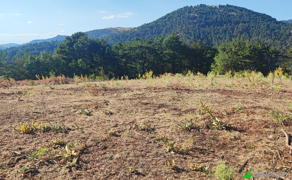 Farm/Ranch for Sale Kocakagan, Akhisar, Manisa, Turkiye, Isimsiz Yol, 45200 Akhisar Manisa. Photo 6