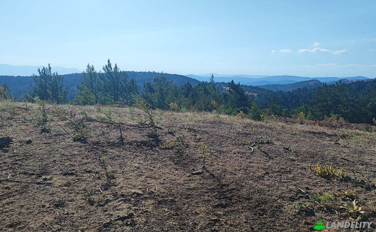 Farm/Ranch for Sale Kocakagan, Akhisar, Manisa, Turkiye, Isimsiz Yol, 45200 Akhisar Manisa. Photo 7