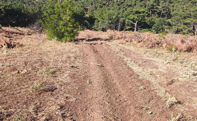 Farm/Ranch for Sale Kocakagan, Akhisar, Manisa. Photo#8 Farm/Ranch for Sale Kocakagan, Akhisar, Manisa. Photo#8